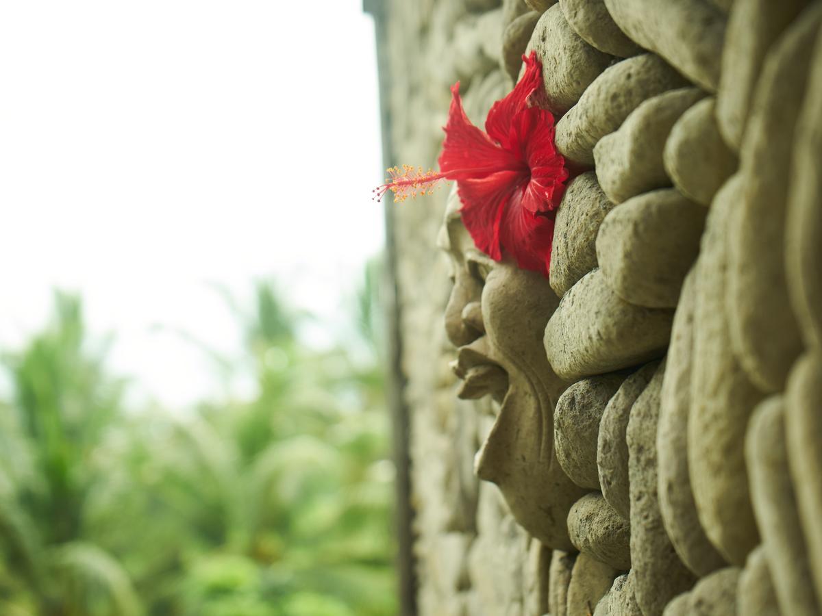 Eden House Ubud Zewnętrze zdjęcie