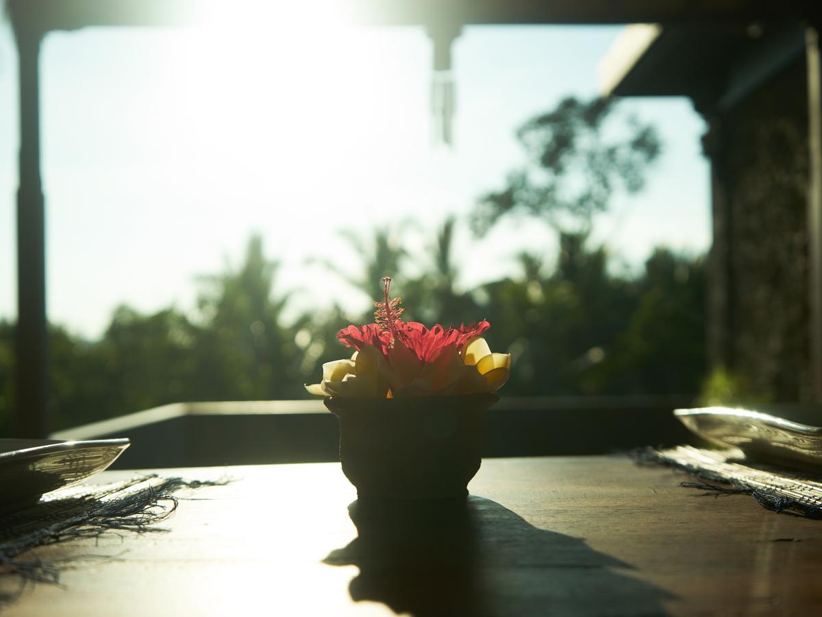 Eden House Ubud Zewnętrze zdjęcie